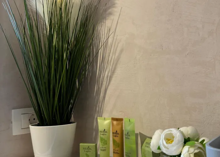 アパート Anastasia